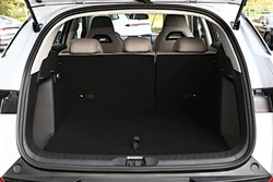 Electric SUV